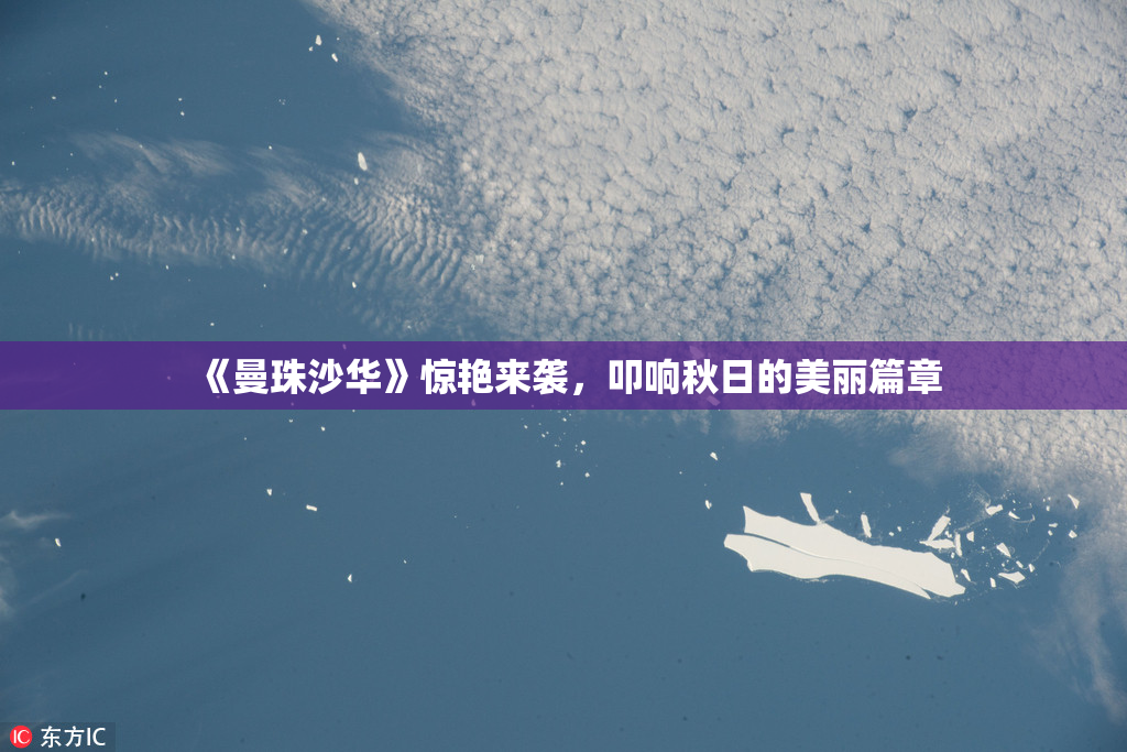 《曼珠沙华》惊艳来袭，叩响秋日的美丽篇章