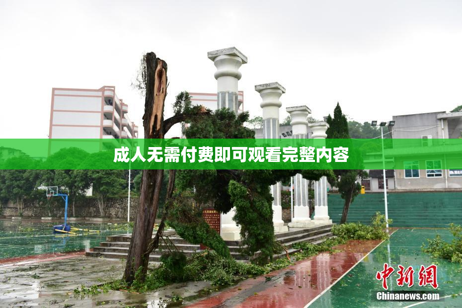 成人无需付费即可观看完整内容
