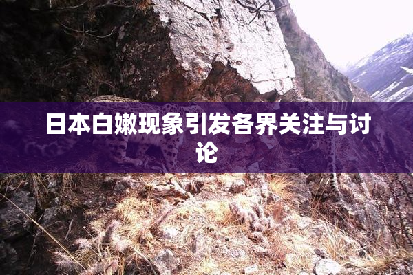 日本白嫩现象引发各界关注与讨论