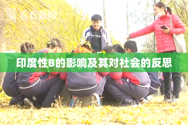 印度性B的影响及其对社会的反思