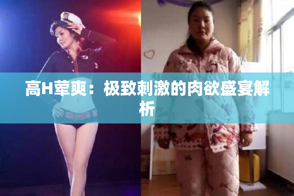 高H荤爽：极致刺激的肉欲盛宴解析