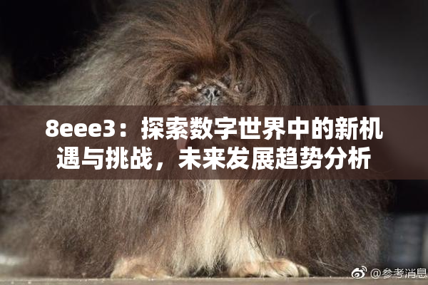 8eee3：探索数字世界中的新机遇与挑战，未来发展趋势分析
