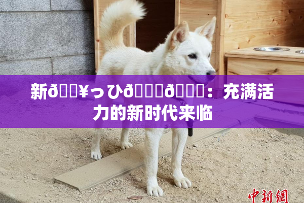 新🔥っひ🍑🍑：充满活力的新时代来临