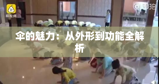 伞的魅力：从外形到功能全解析