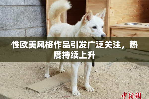 性欧美风格作品引发广泛关注，热度持续上升