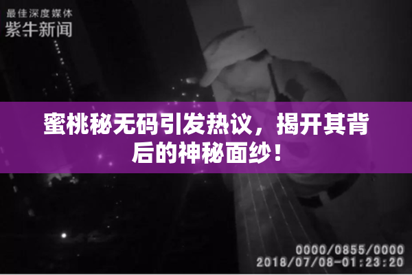 蜜桃秘无码引发热议，揭开其背后的神秘面纱！