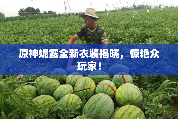 原神妮露全新衣装揭晓，惊艳众玩家！