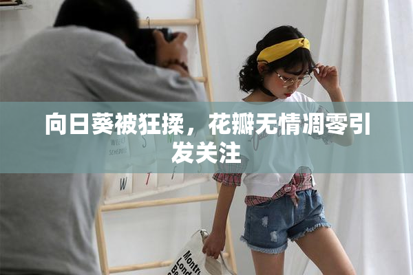 向日葵被狂揉，花瓣无情凋零引发关注