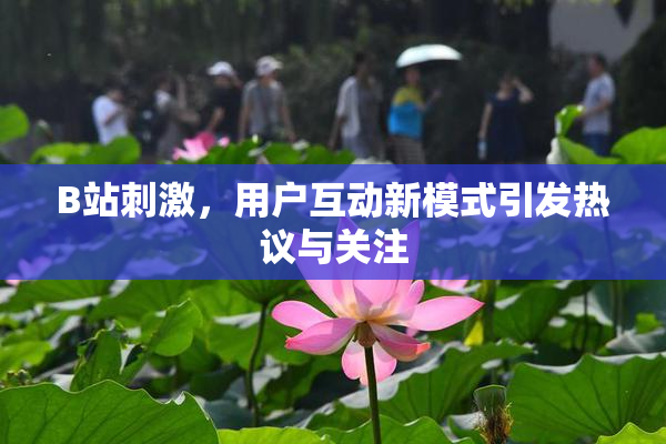 B站刺激，用户互动新模式引发热议与关注