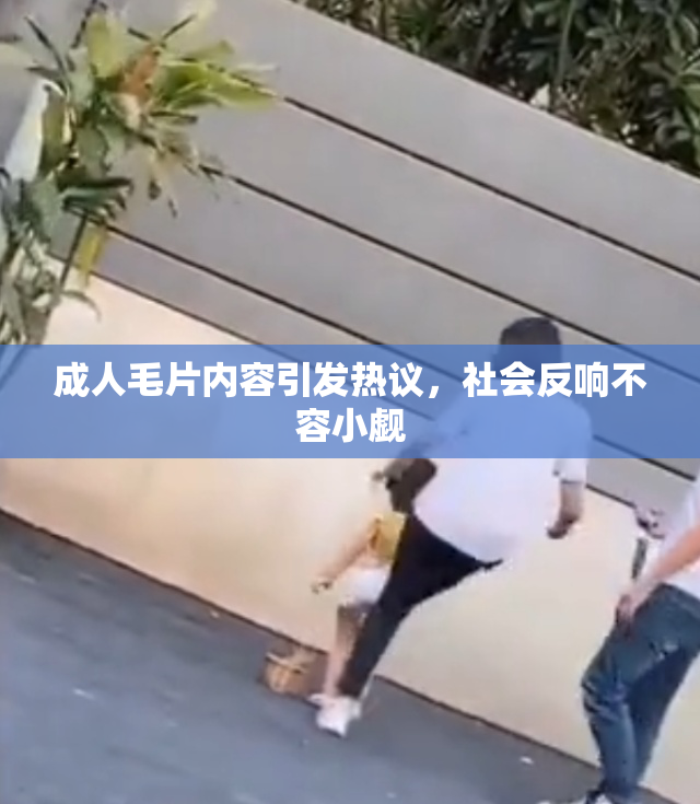 成人毛片内容引发热议，社会反响不容小觑