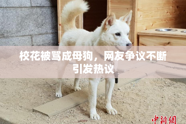 校花被骂成母狗，网友争议不断引发热议