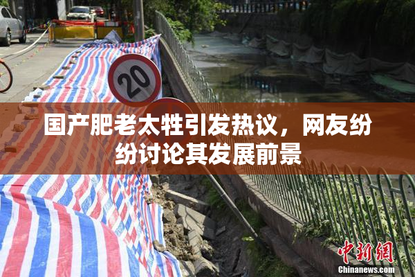 国产肥老太牲引发热议，网友纷纷讨论其发展前景
