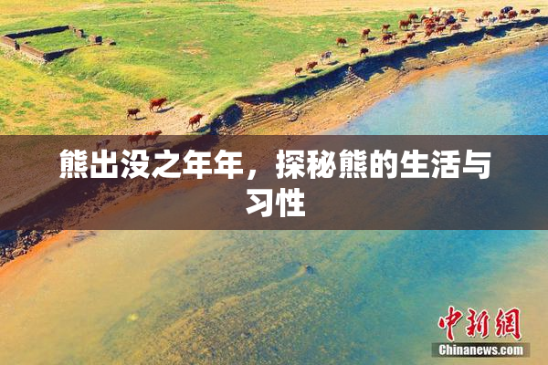 熊出没之年年，探秘熊的生活与习性