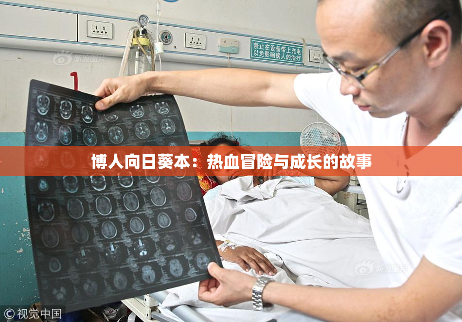 博人向日葵本：热血冒险与成长的故事
