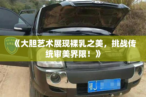 《大胆艺术展现裸乳之美，挑战传统审美界限！》