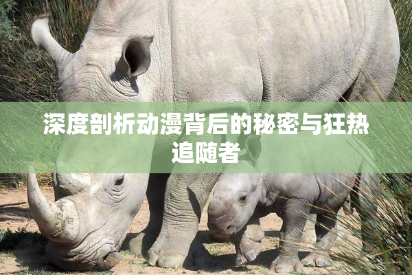 深度剖析动漫背后的秘密与狂热追随者