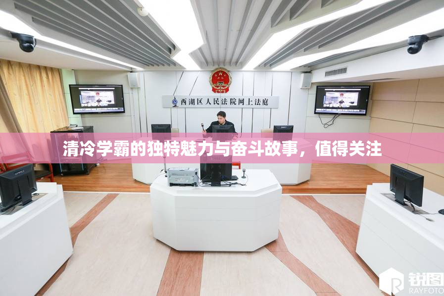 清冷学霸的独特魅力与奋斗故事，值得关注