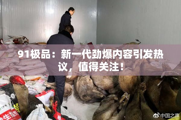 91极品：新一代劲爆内容引发热议，值得关注！