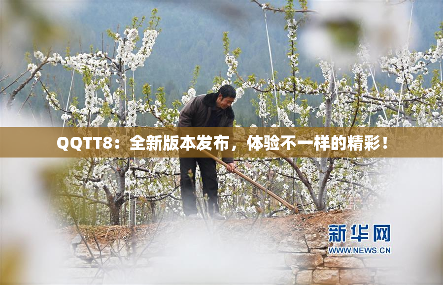 QQTT8：全新版本发布，体验不一样的精彩！