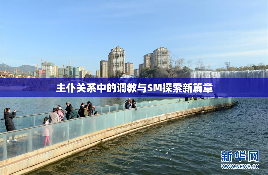 主仆关系中的调教与SM探索新篇章