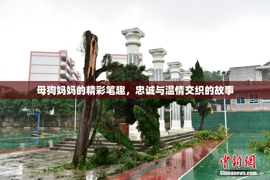母狗妈妈的精彩笔趣，忠诚与温情交织的故事