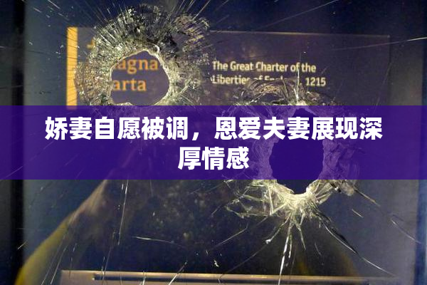 娇妻自愿被调，恩爱夫妻展现深厚情感