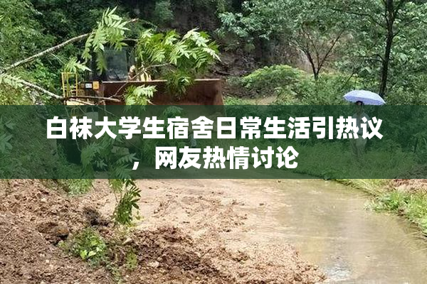 白袜大学生宿舍日常生活引热议，网友热情讨论