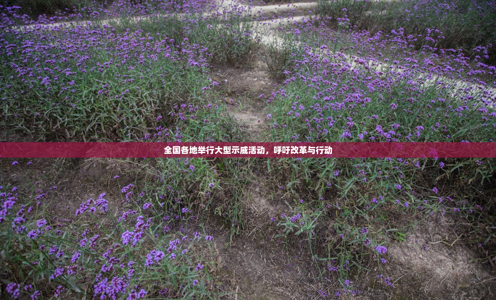 全国各地举行大型示威活动，呼吁改革与行动