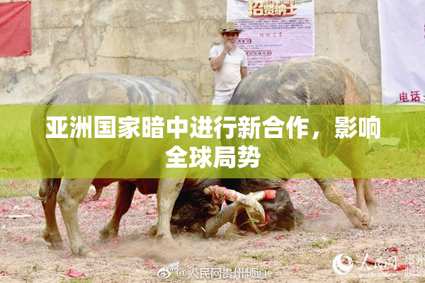 亚洲国家暗中进行新合作，影响全球局势