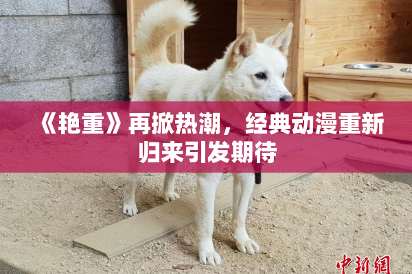 《艳重》再掀热潮，经典动漫重新归来引发期待