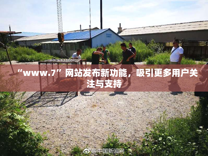 “www.7”网站发布新功能，吸引更多用户关注与支持