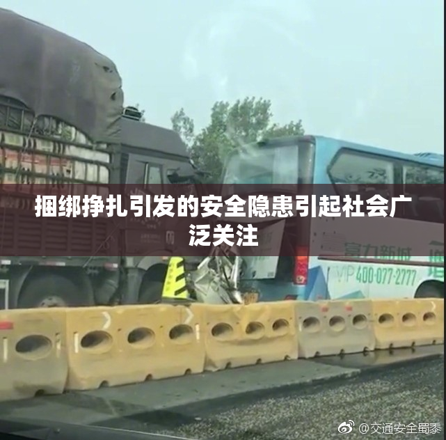 捆绑挣扎引发的安全隐患引起社会广泛关注