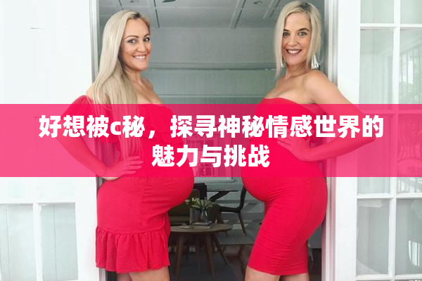 好想被c秘，探寻神秘情感世界的魅力与挑战