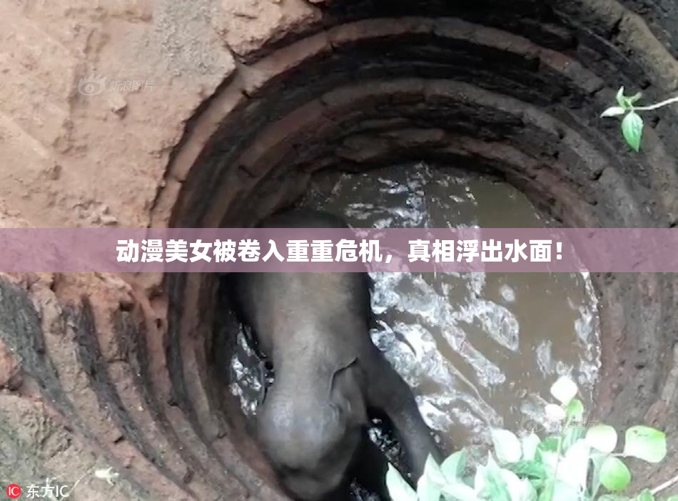 动漫美女被卷入重重危机，真相浮出水面！
