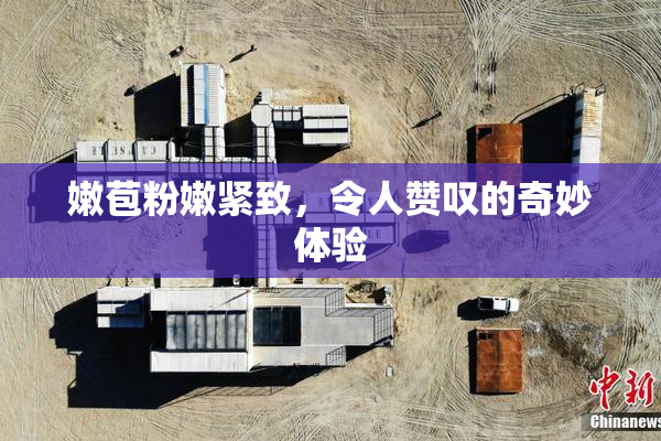嫩苞粉嫩紧致，令人赞叹的奇妙体验