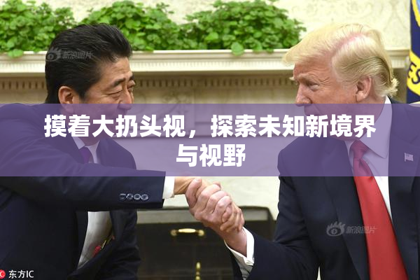 摸着大扔头视，探索未知新境界与视野