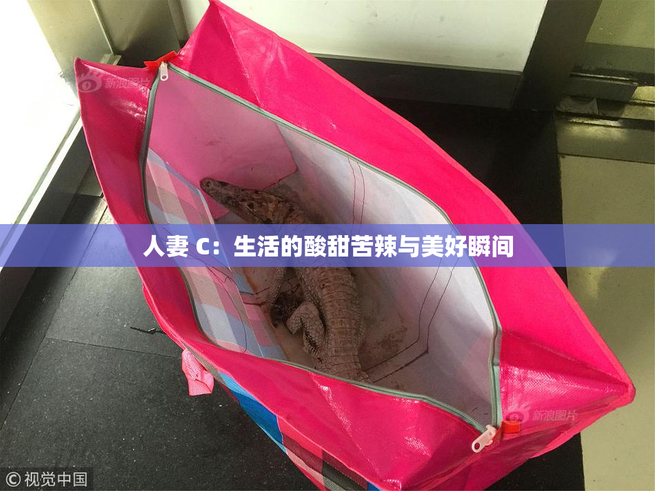 人妻 C：生活的酸甜苦辣与美好瞬间