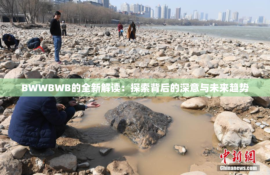 BWWBWB的全新解读：探索背后的深意与未来趋势