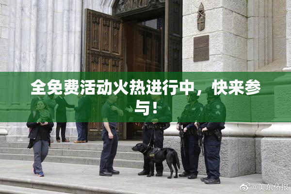 全免费活动火热进行中，快来参与！