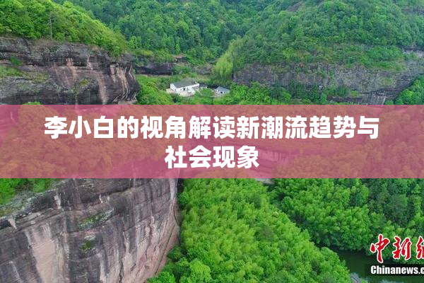 李小白的视角解读新潮流趋势与社会现象