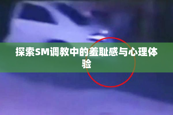 探索SM调教中的羞耻感与心理体验