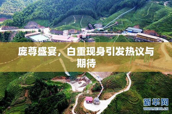 庞尊盛宴，白重现身引发热议与期待