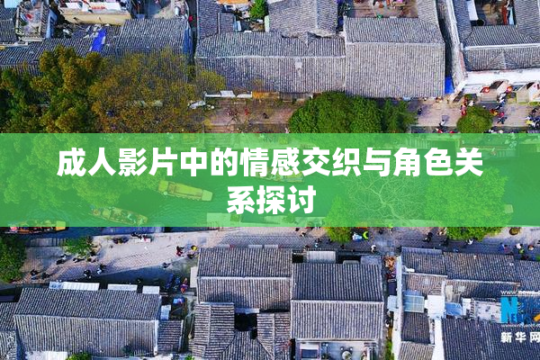 成人影片中的情感交织与角色关系探讨