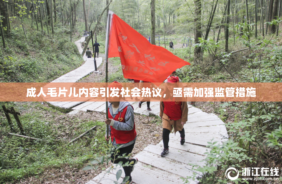 成人毛片儿内容引发社会热议，亟需加强监管措施