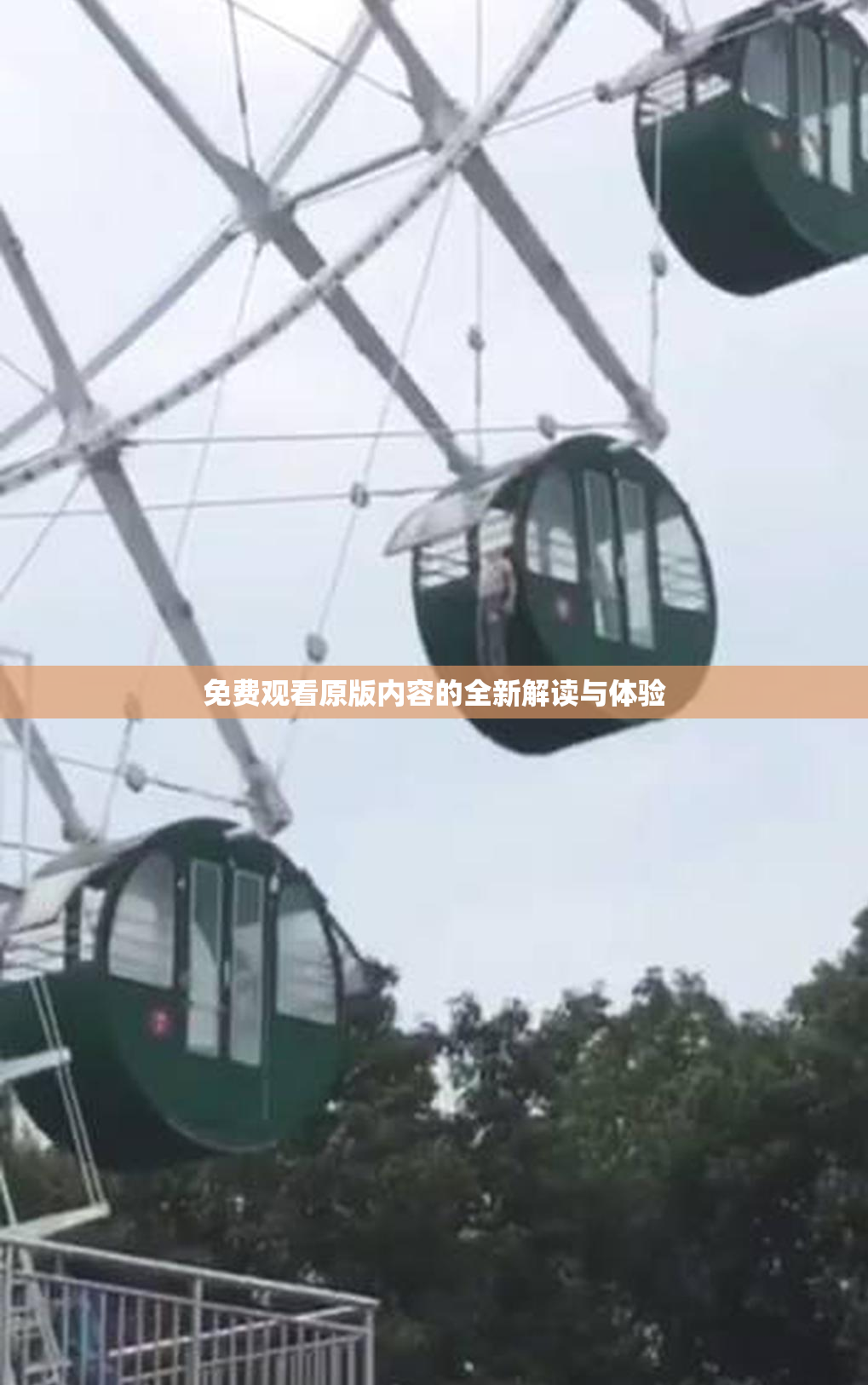 免费观看原版内容的全新解读与体验