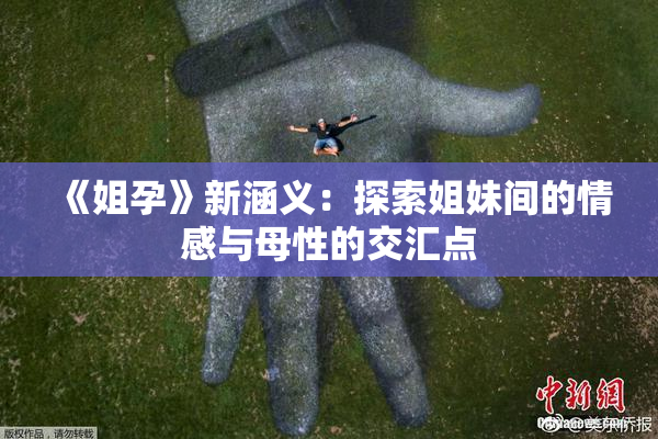 《姐孕》新涵义：探索姐妹间的情感与母性的交汇点