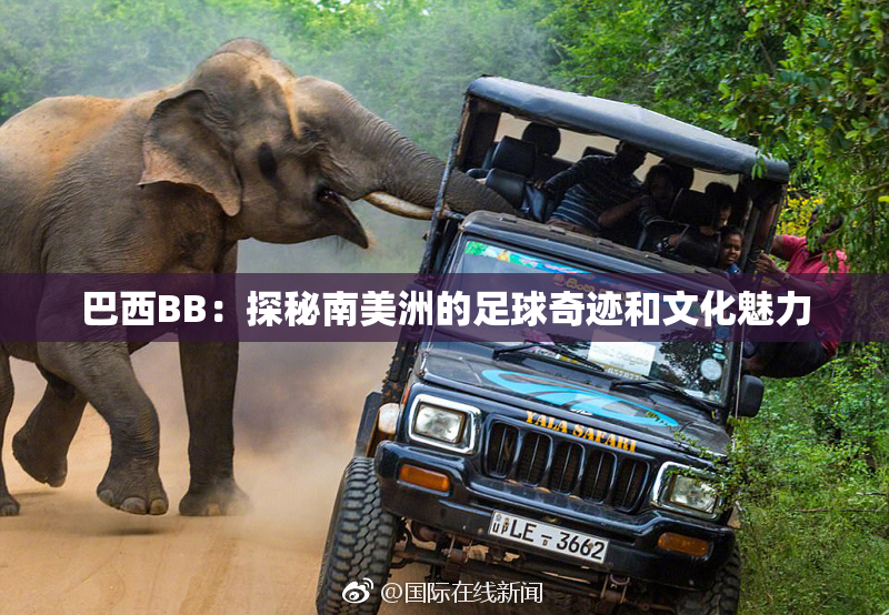 巴西BB：探秘南美洲的足球奇迹和文化魅力