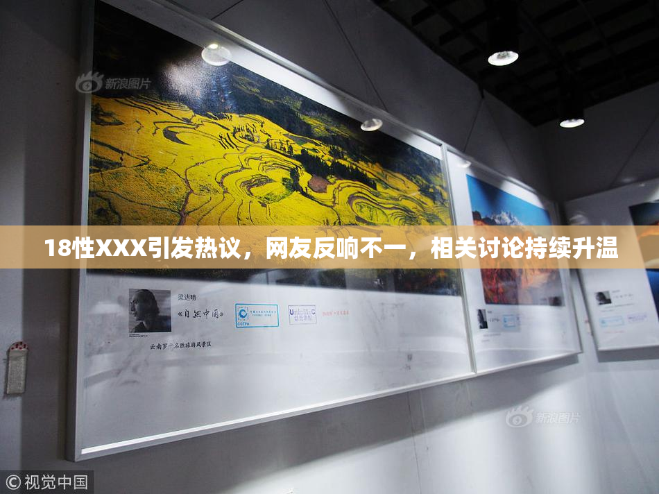 18性XXX引发热议，网友反响不一，相关讨论持续升温