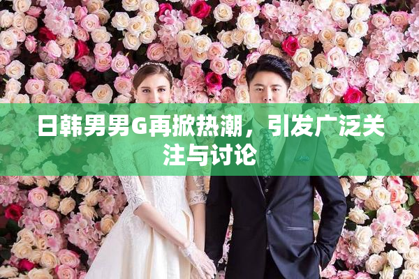 日韩男男G再掀热潮，引发广泛关注与讨论