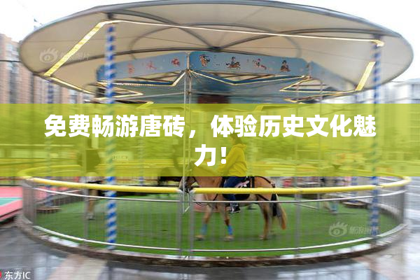 免费畅游唐砖，体验历史文化魅力！